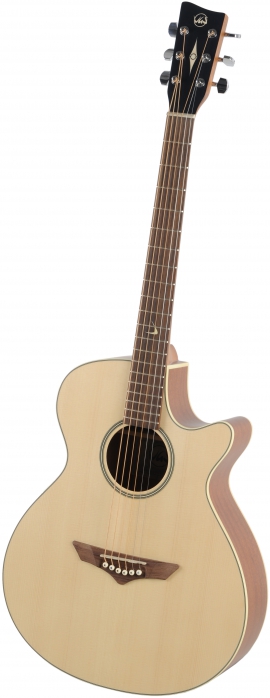 VGS 500401 RT-S Root elektricko-akustick kytara