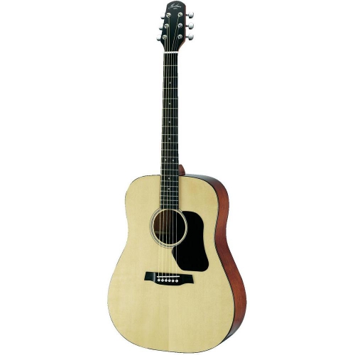 Walden Hawthorne HD220 akustick kytara