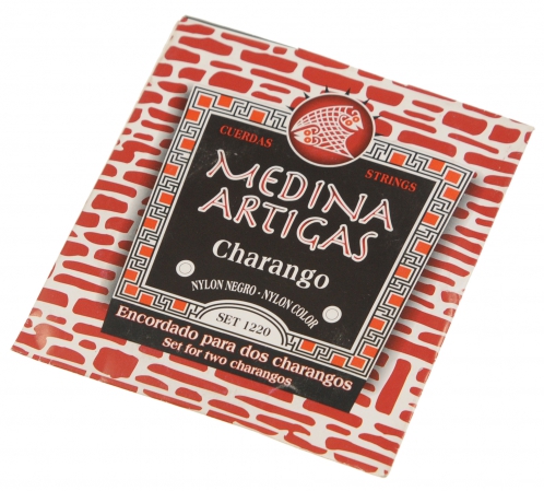 Medina Artigas 1220 struny