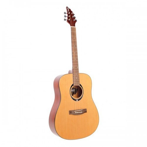 Flycat C100 NT akustick kytara