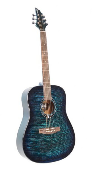 Flycat C100 TBL akustick kytara