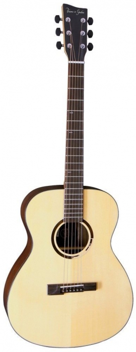 VGS 501350 R-50 Rose Natural Gloss elektricko-akustick kytara