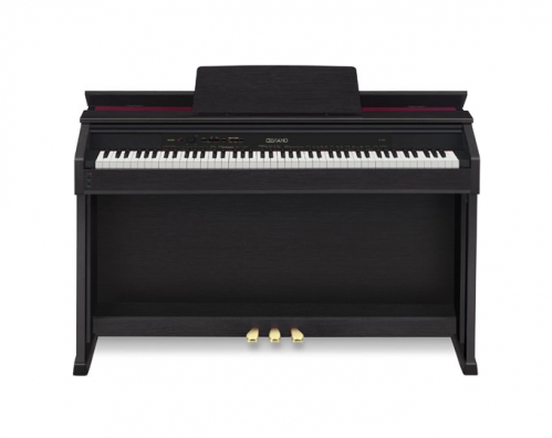 Casio AP 460