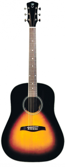 Levinson LJ-24 VS EAS elektricko-akustick kytara