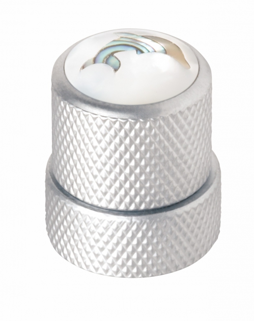 Warwick 30517 Sc Dolphin