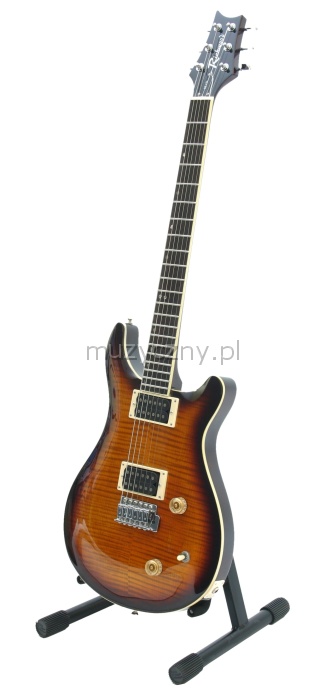 Richwood RE131 VS elektrick kytara