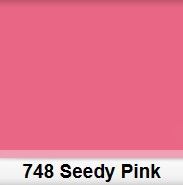 Lee 748 Seedy Pink filtr