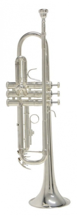 Bach TR-650S Bb trubka, postben, s pouzdrem