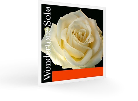 Pirastro Wondertone Solo z A ocel houslové struny Pirastro Wondertone Solo z A ocel houslové struny