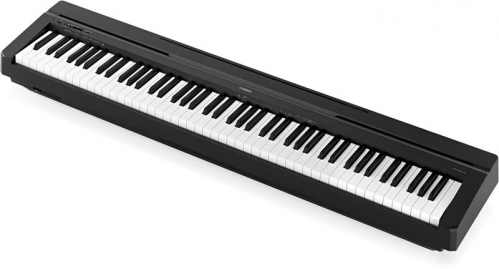Yamaha P 45b