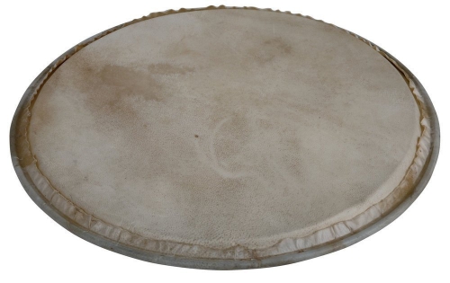 Latin Percussion LP881994