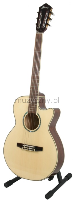 Ibanez AEG10N-ENT