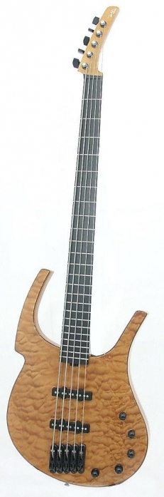 Parker Fly Bass 5N  basov kytara