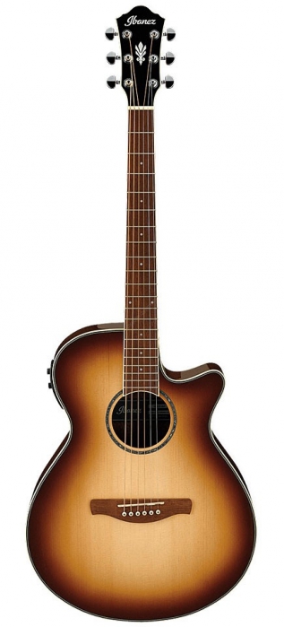 Ibanez Aeg10ii Nnb