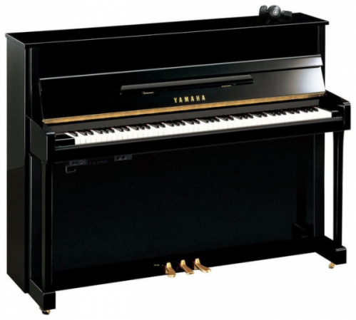 Yamaha B2e Sc2 Pe