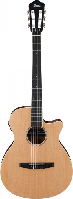 Ibanez AEG7TN-NT klasick kytara