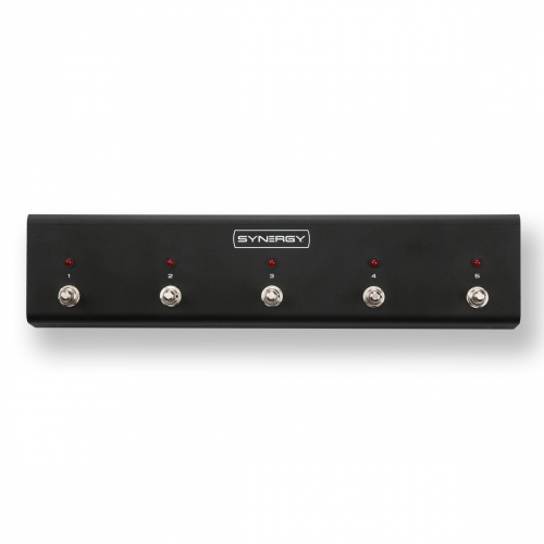 Synergy Amps R-5 Synergy Amps R-5