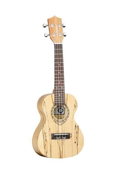 TANGLEWOOD TWT10