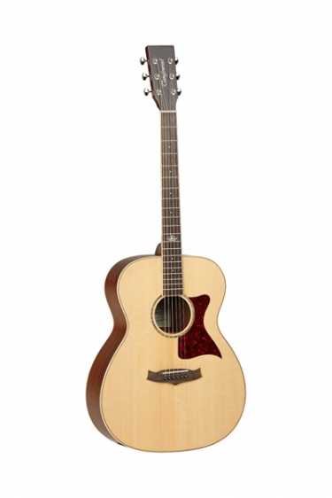 TANGLEWOOD TW170 SS TANGLEWOOD TW170 SS