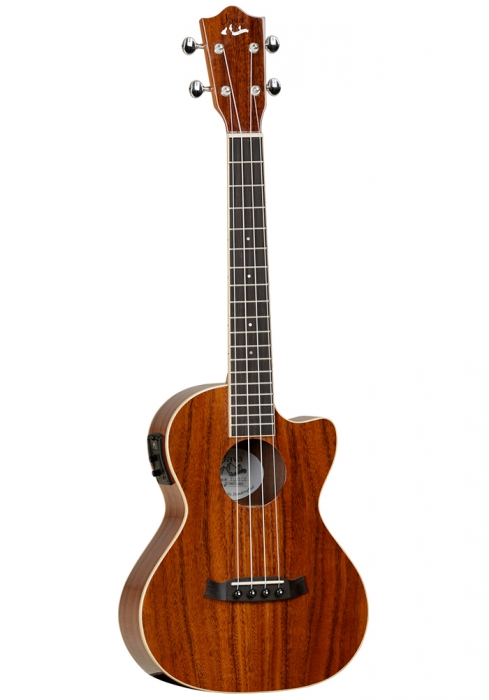 TANGLEWOOD TUJ5-CE