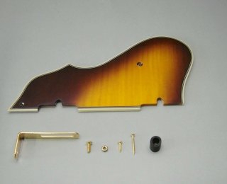 Ibanez 4PG12A0007