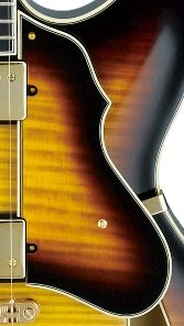 Ibanez 4PG12A0040 Ibanez 4PG12A0040
