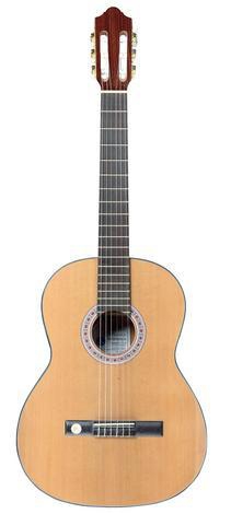 Gewa Pro Arte GC210 500030 klasick kytara