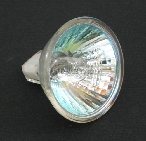 Spectrum ENH 120V/250W halogen