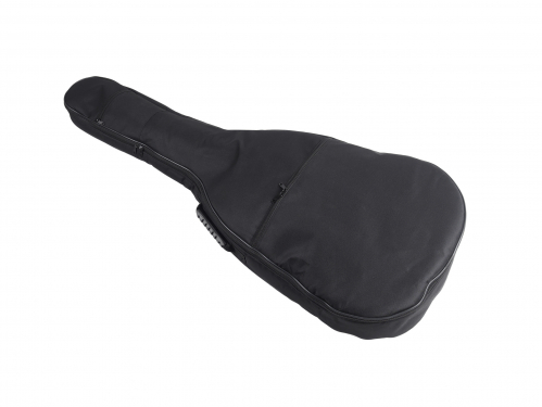 Ewpol Acoustic Guitar 12S bag