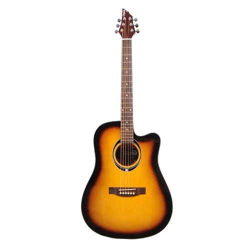 Flycat C100 TSB akustick kytara