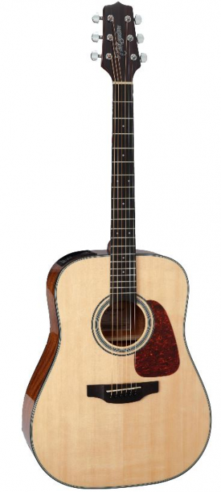 Takamine GD15E NAT