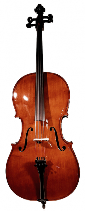 Strunal Cello Maestro Linz 4/7 H 4/4