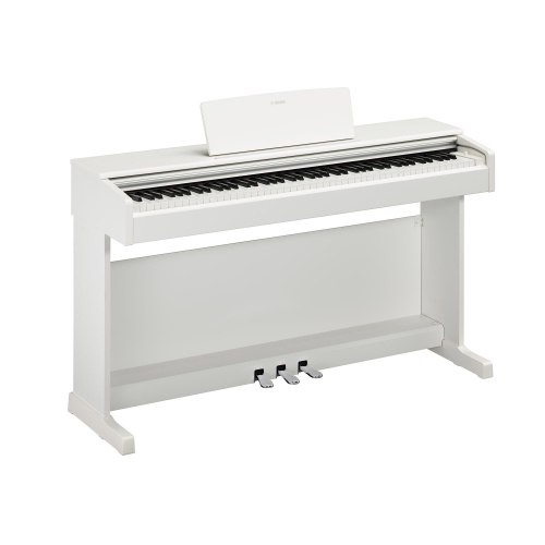 Yamaha Ydp 145 White Arius