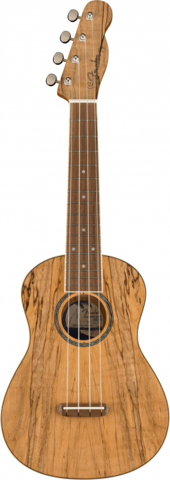 Fender Zuma Exotic Ukulele Spalted Maple