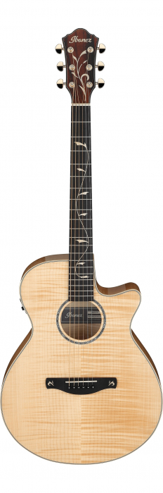 Ibanez AEG750-NT elektroakustick kytara