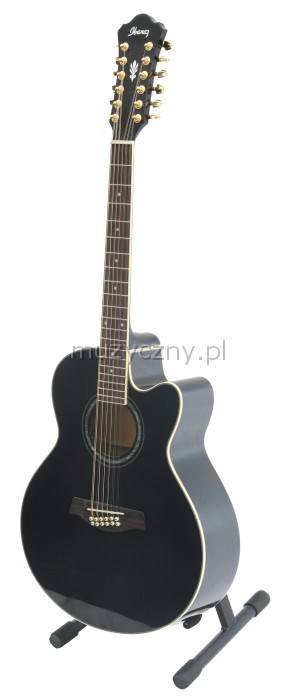 Ibanez AEL 2012 E TKS elektricko-akustick kytara