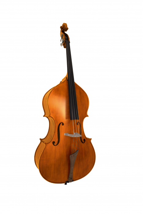 Vhienna Meister DB34CONCERTO