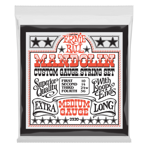 Ernie Ball 2320
