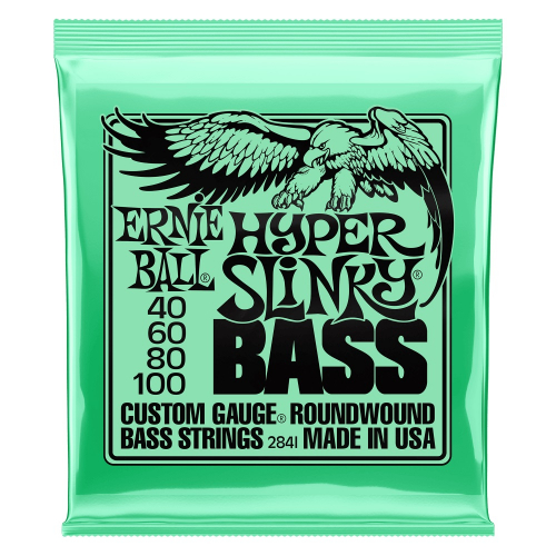 Ernie Ball 2841