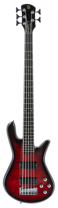 Spector LG5STBC