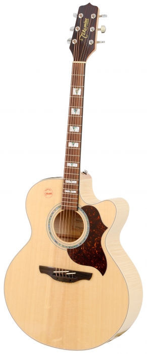 Takamine EG523SC elektricko-akustick� kytara
