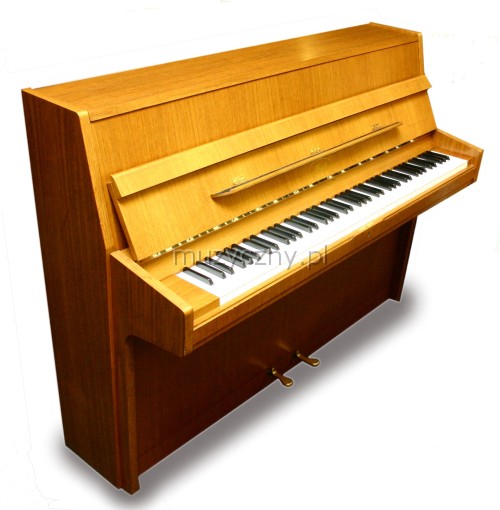 Ibach piano