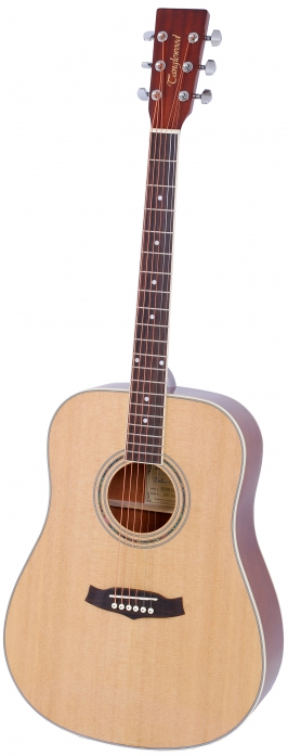 Tanglewood DBT DLX D akustick kytara