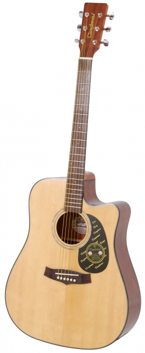 Tanglewood TD 8 CE II elektricko-akustick kytara