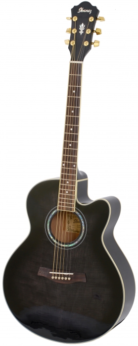 Ibanez AEL 20 E TK elektricko-akustick kytara