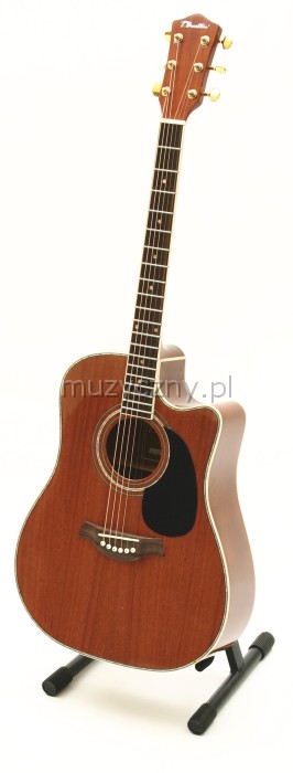 T.Burton W-34C/N akustick kytara