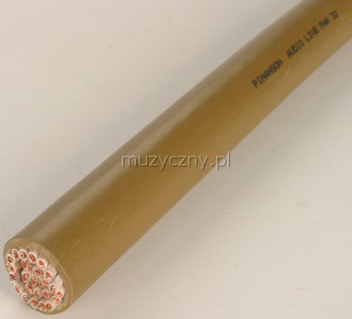 Pinanson 312 multicore audio live 32p