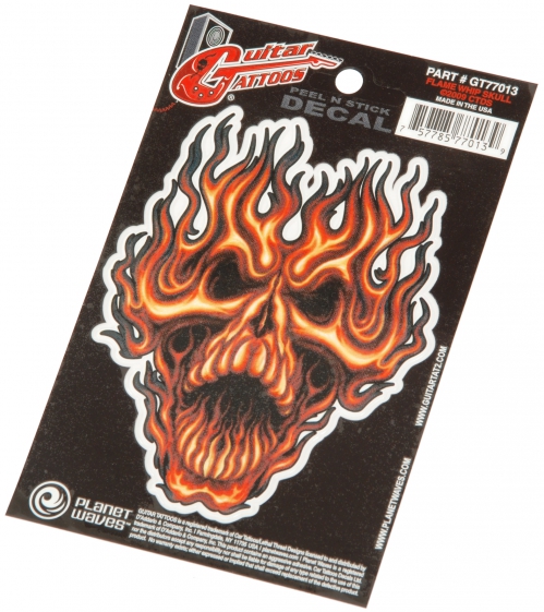 Planet Waves GTR TATTOO-FLAME WHIP SKULL