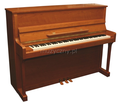 AN T.Piano Up 113 piano