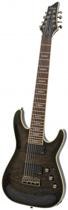 Schecter Hellraiser Special C8 elektrick kytara